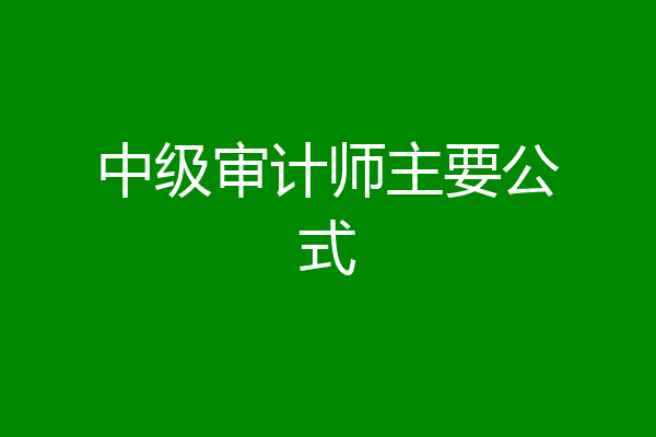 中级审计师主要公式