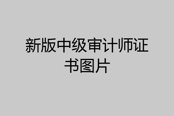 新版中级审计师证书图片
