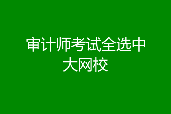 审计师考试全选中大网校