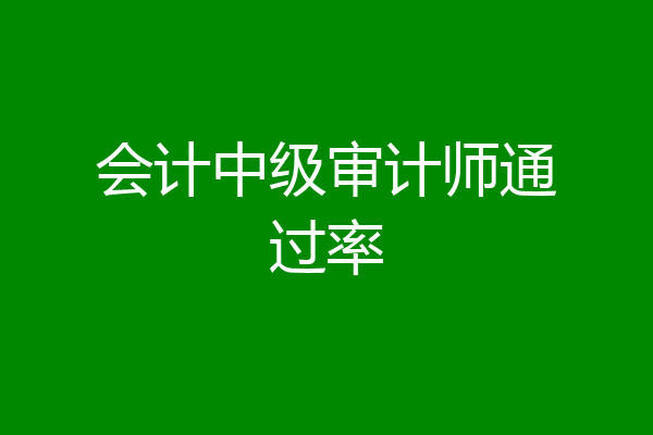 会计中级审计师通过率