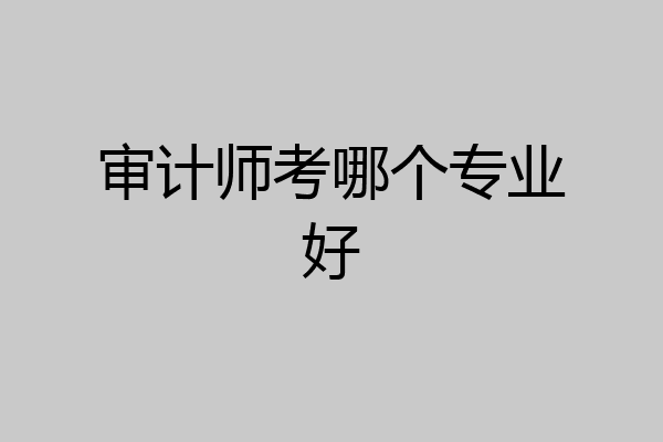审计师考哪个专业好