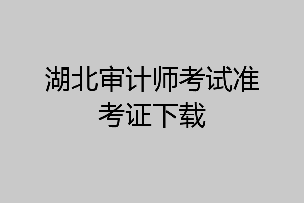 湖北审计师考试准考证下载