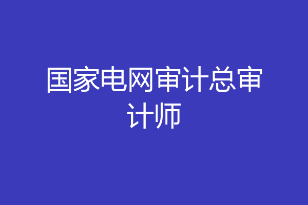 国家电网审计总审计师