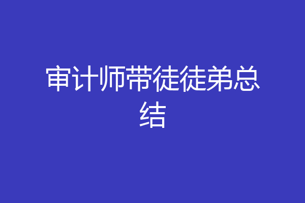 审计师带徒徒弟总结