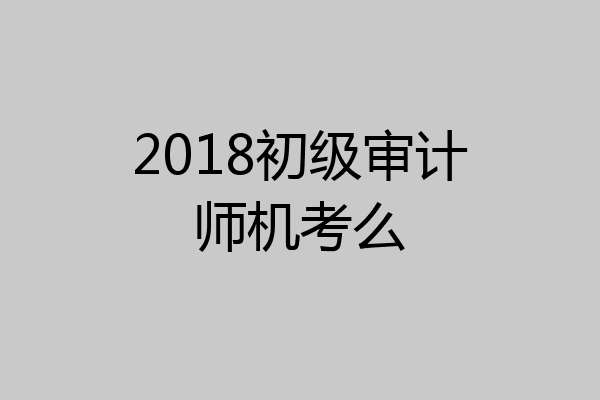 2018初级审计师机考么