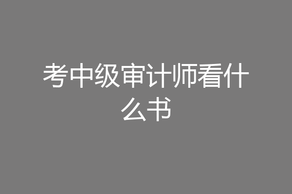 考中级审计师看什么书