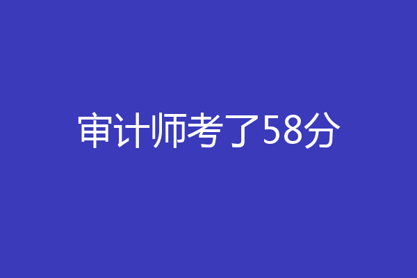 审计师考了58分
