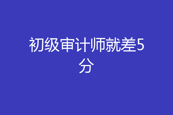 初级审计师就差5分