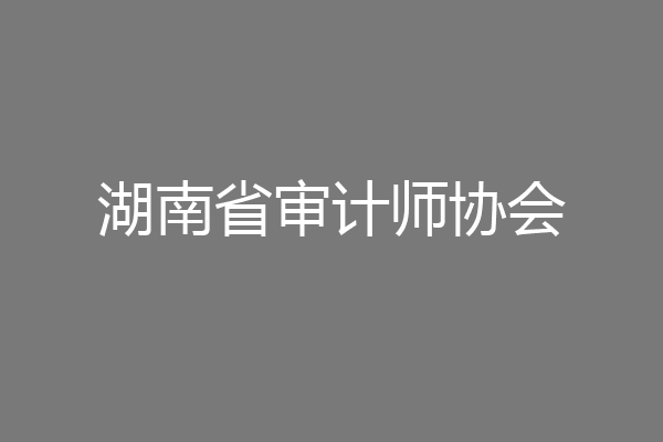 湖南省审计师协会