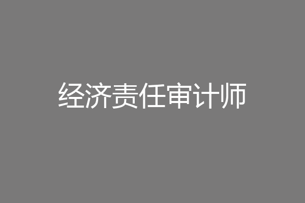经济责任审计师