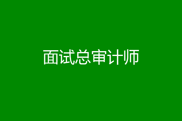 面试总审计师