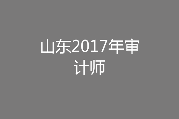 山东2017年审计师