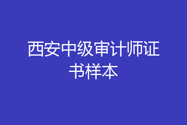 西安中级审计师证书样本