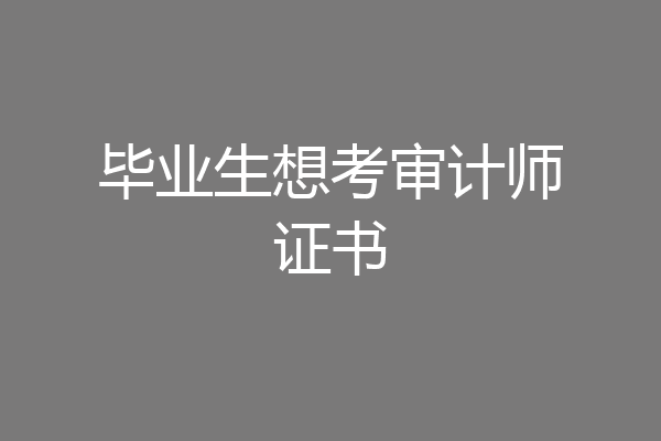 毕业生想考审计师证书