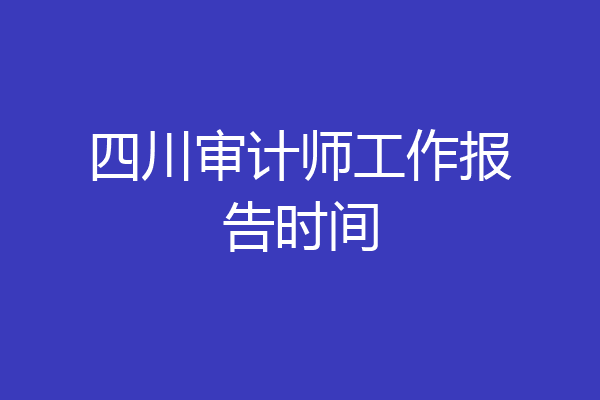 四川审计师工作报告时间