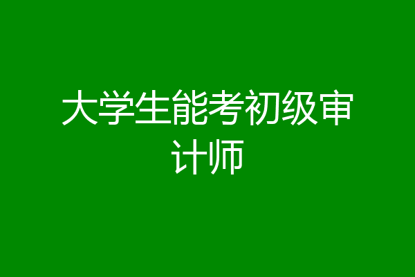大学生能考初级审计师