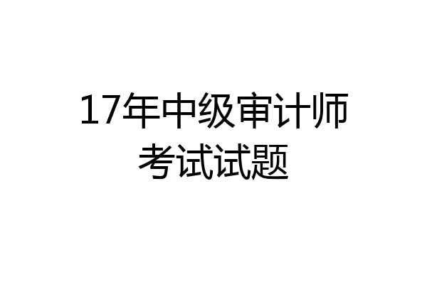 17年中级审计师考试试题