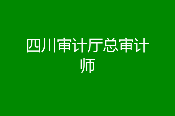 四川审计厅总审计师