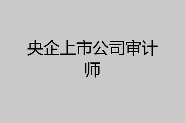 央企上市公司审计师