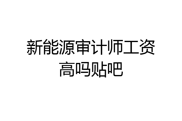 新能源审计师工资高吗贴吧