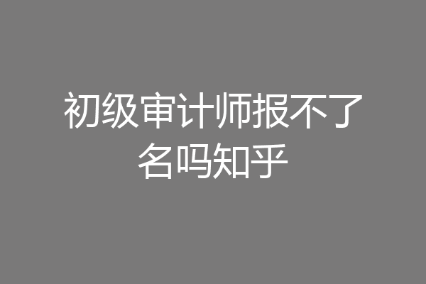 初级审计师报不了名吗知乎