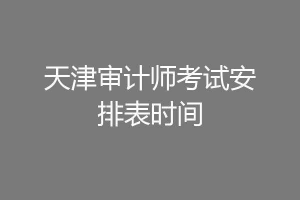 天津审计师考试安排表时间