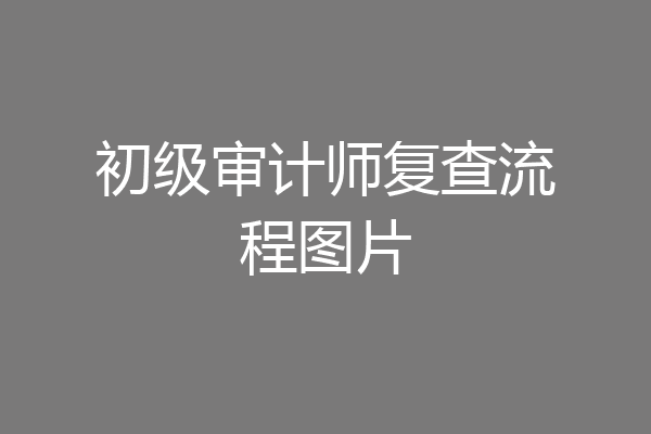 初级审计师复查流程图片