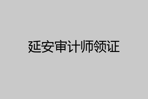 延安审计师领证