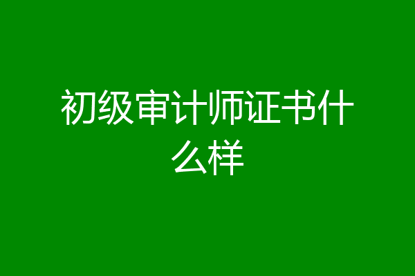 初级审计师证书什么样