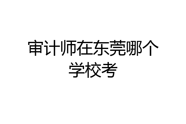 审计师在东莞哪个学校考