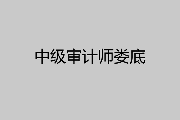 中级审计师娄底