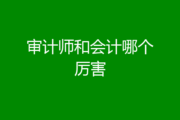 审计师和会计哪个厉害