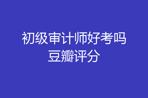 初级审计师好考吗豆瓣评分