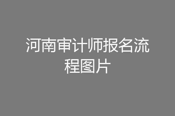 河南审计师报名流程图片