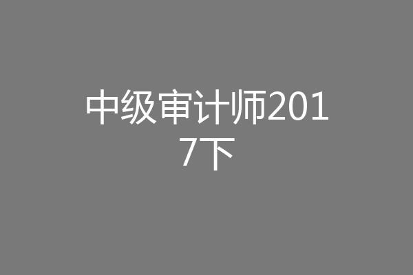 中级审计师2017下