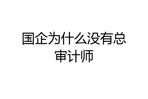 国企为什么没有总审计师