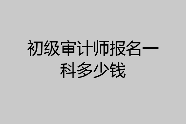 初级审计师报名一科多少钱