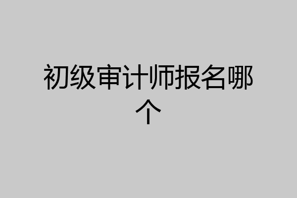初级审计师报名哪个
