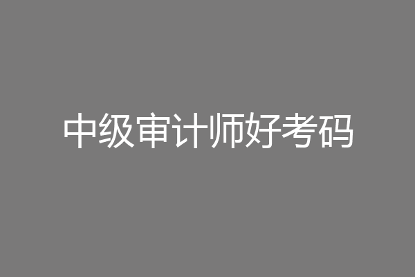 中级审计师好考码