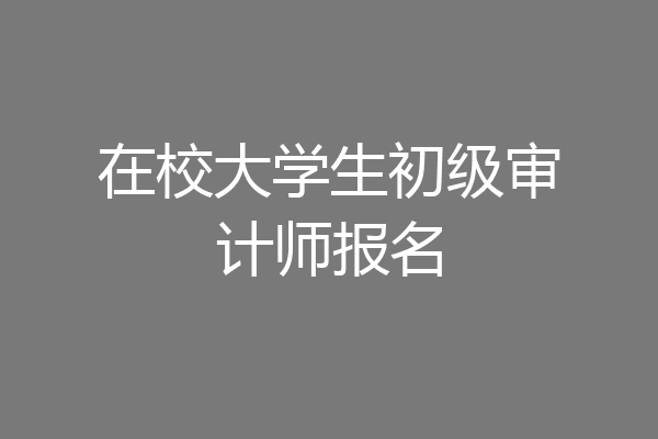 在校大学生初级审计师报名
