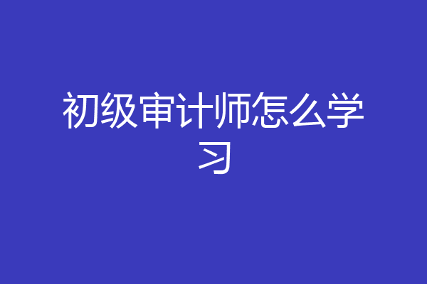 初级审计师怎么学习
