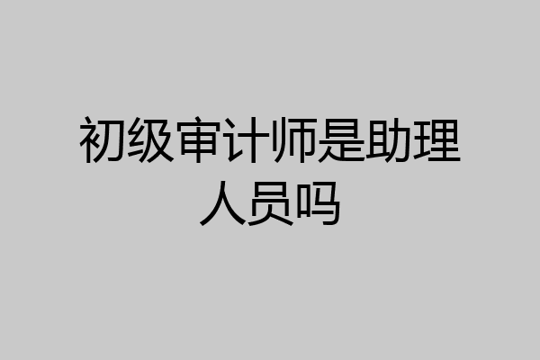 初级审计师是助理人员吗