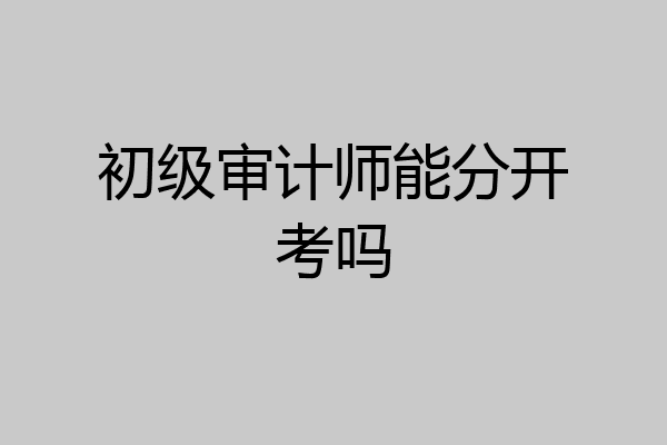 初级审计师能分开考吗