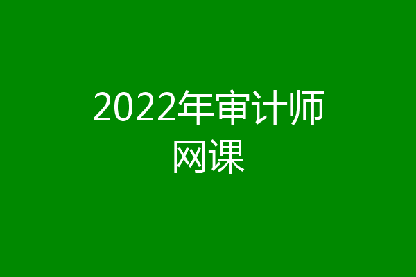 2022年审计师网课
