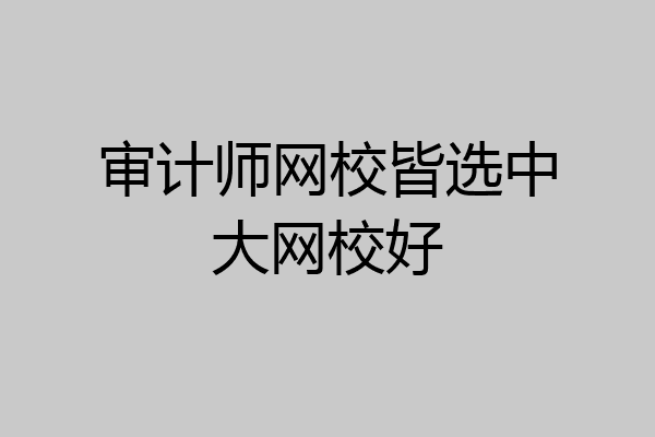 审计师网校皆选中大网校好