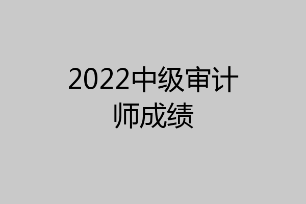 2022中级审计师成绩