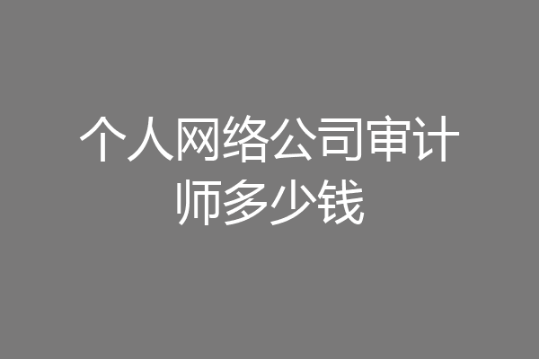 个人网络公司审计师多少钱