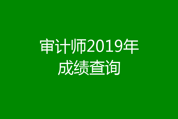 审计师2019年成绩查询