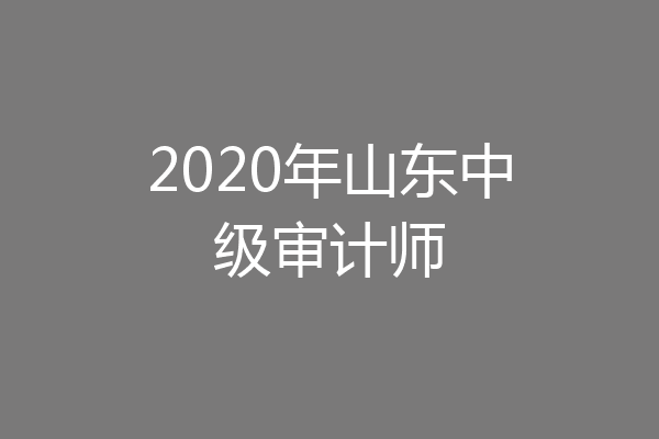 2020年山东中级审计师