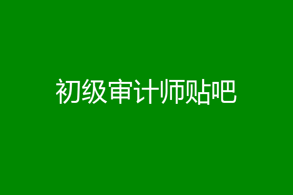 初级审计师贴吧